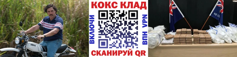 kraken ссылки  Знаменск  COCAIN Fish Scale 
