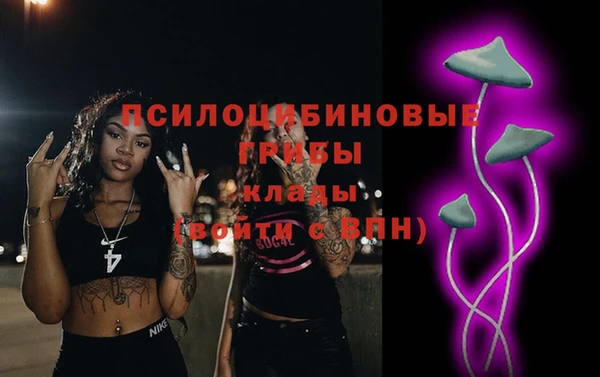 стафф Абинск