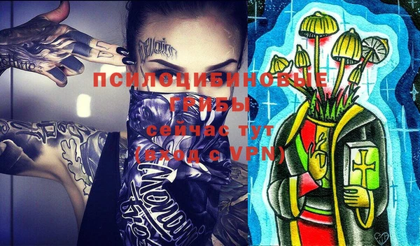 стафф Абинск