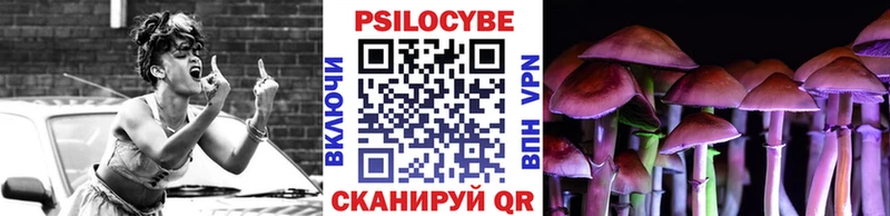 купить наркотик  Знаменск  omg ссылки  Галлюциногенные грибы мицелий 