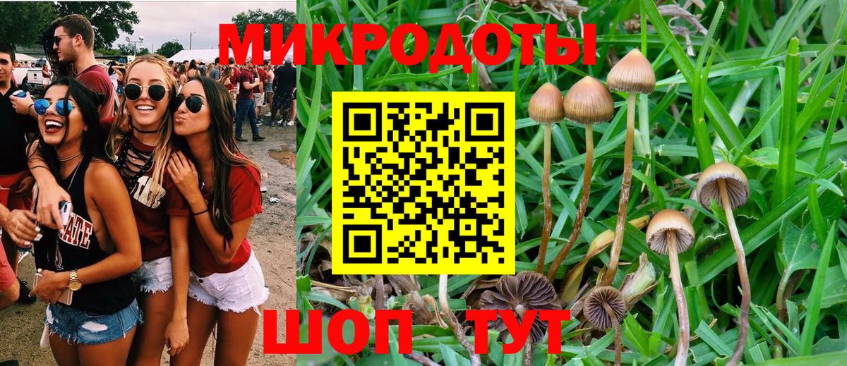 Псилоцибиновые грибы мухоморы  Вход с VPN  Знаменск 